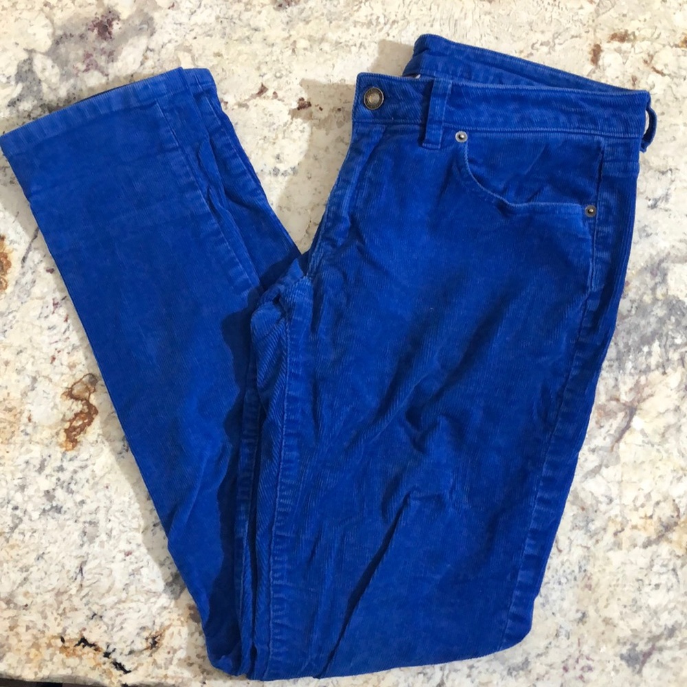 Patagonia Organic Cotton Bright Blue Skinny Cords